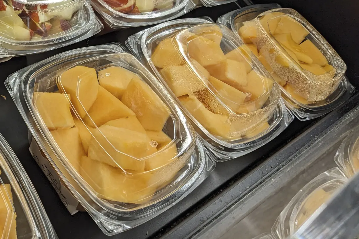 Cantaloupe Salmonella