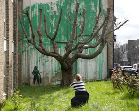Banksy tree mural that sprouted in London is fenced off after apparent vandalism