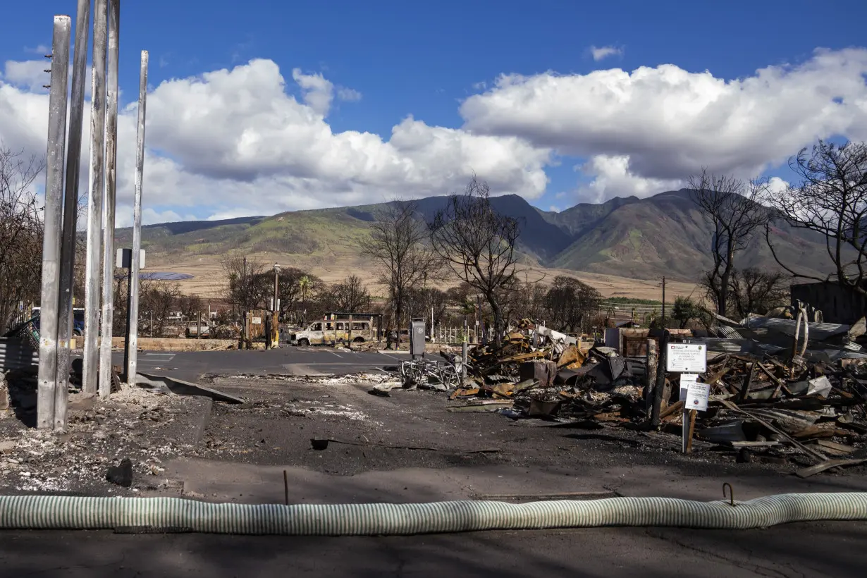 Hawaii Wildfire Front Street