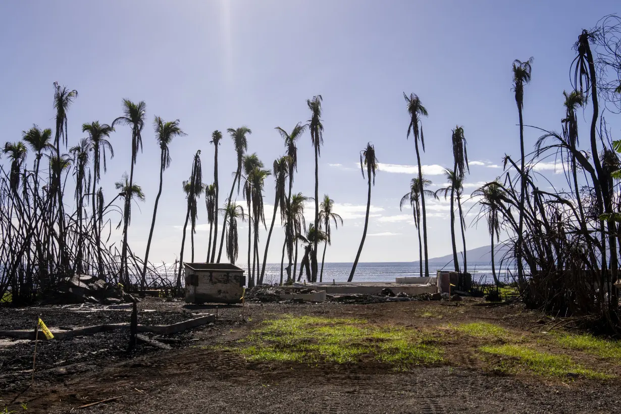Philanthropy Maui Wildfires
