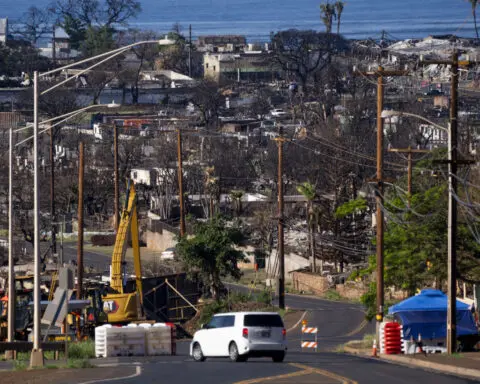 New PGA Tour season starts with renewed emphasis on charity with Lahaina in mind