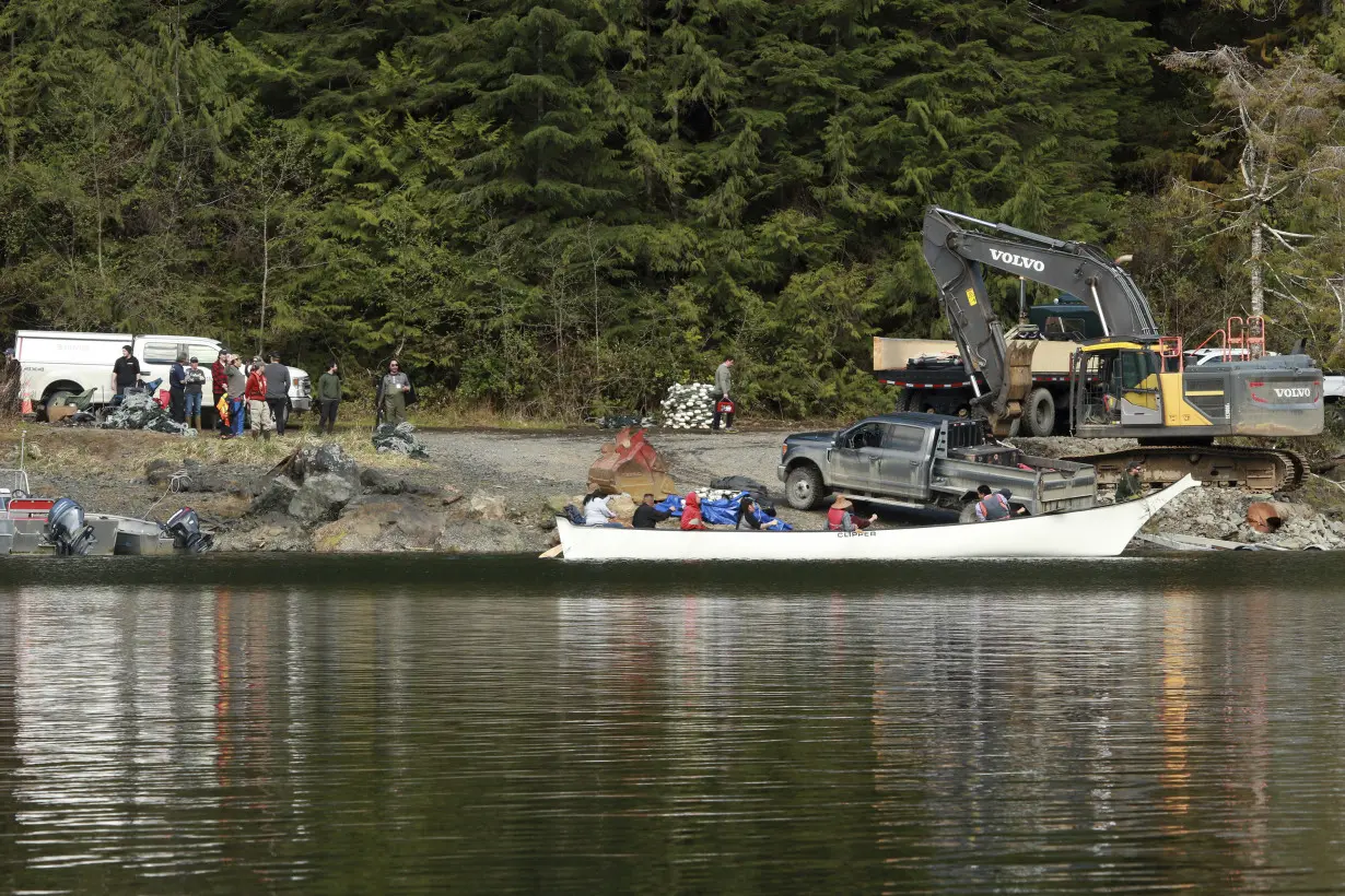 First attempt to catch orphaned orca calf in Canadian lagoon is unsuccessful