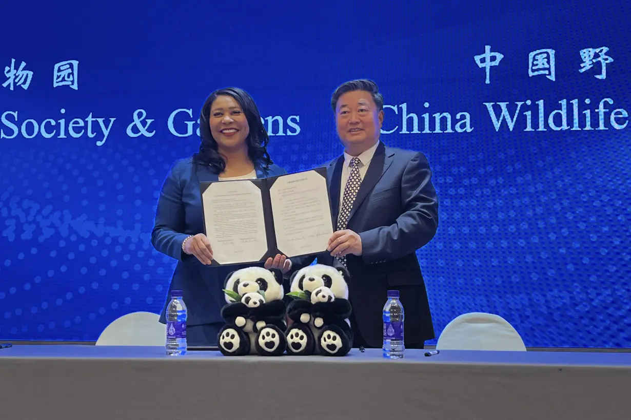 LA Post: San Francisco mayor announces the city will receive pandas from China