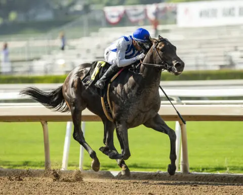 2nd horse based at Santa Anita dies leading up to Breeders' Cup