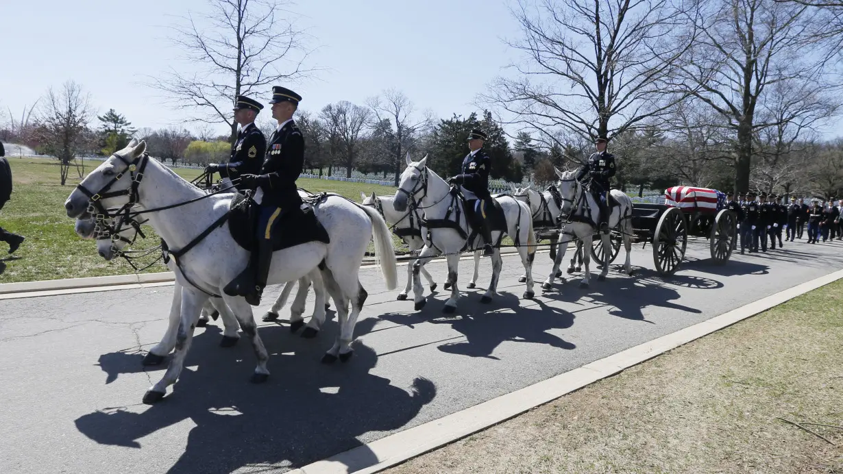 Army Horses