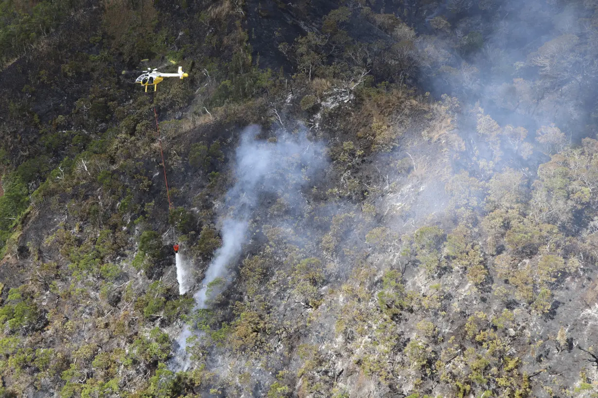 There's another wildfire burning in Hawaii. This one is destroying irreplaceable rainforest on Oahu