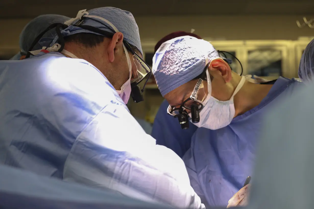 LA Post: US surgeons have transplanted a pig kidney into a patient
