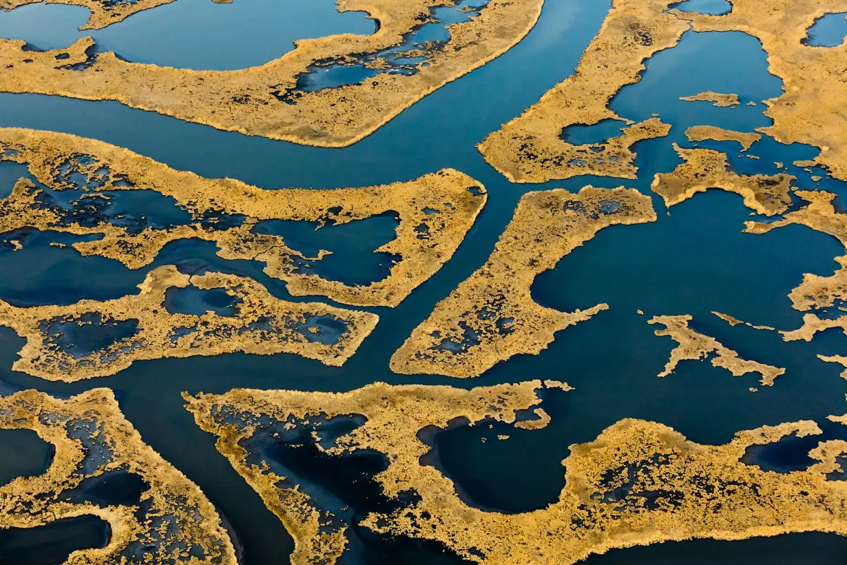 Coastal wetlands can’t keep pace with sea-level rise, and infrastructure is leaving them nowhere to go