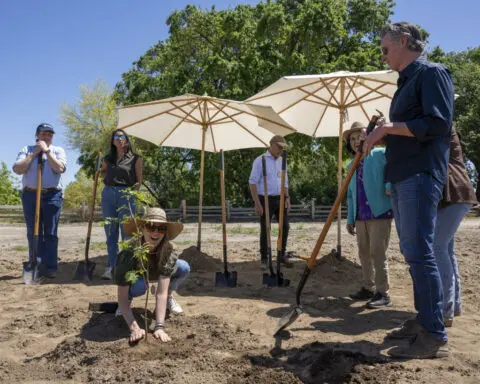 California announces first new state park in a decade and sets climate goals for natural lands