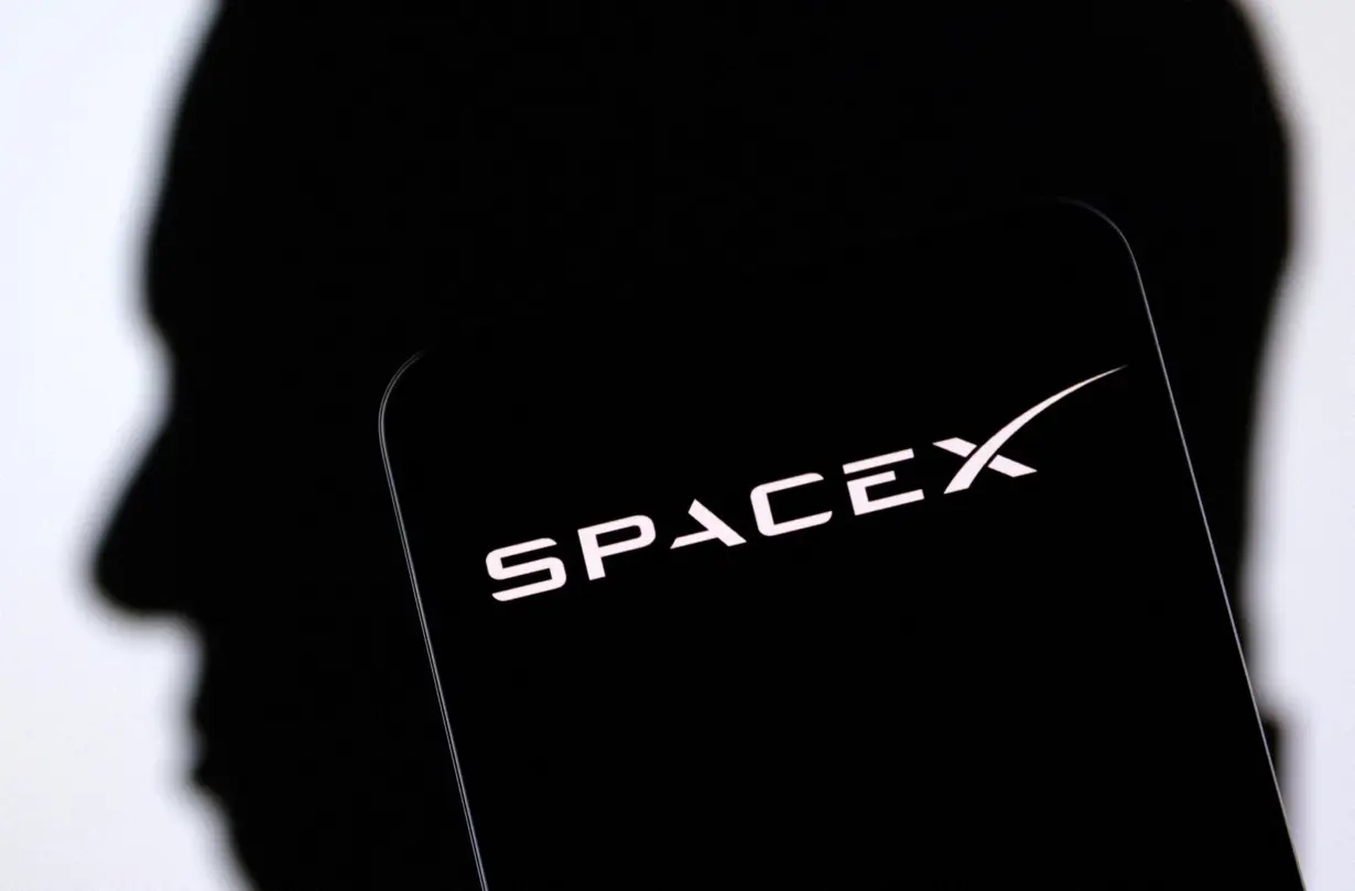 Illustration shows SpaceX logo and Elon Musk silhouette