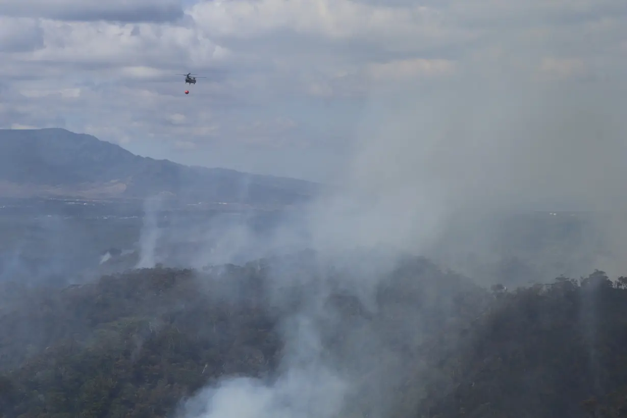 There's another wildfire burning in Hawaii. This one is destroying irreplaceable rainforest on Oahu