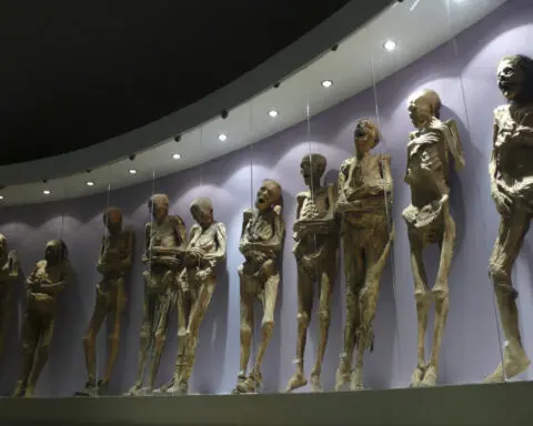 Mexican government says the arm of a 19th century mummy came off after mishandling by museum staff