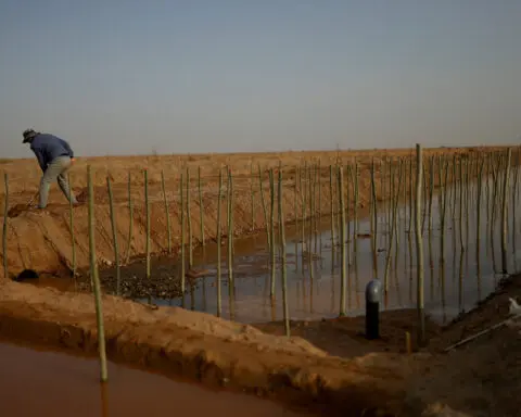 China's food security dream faces land, soil and water woes
