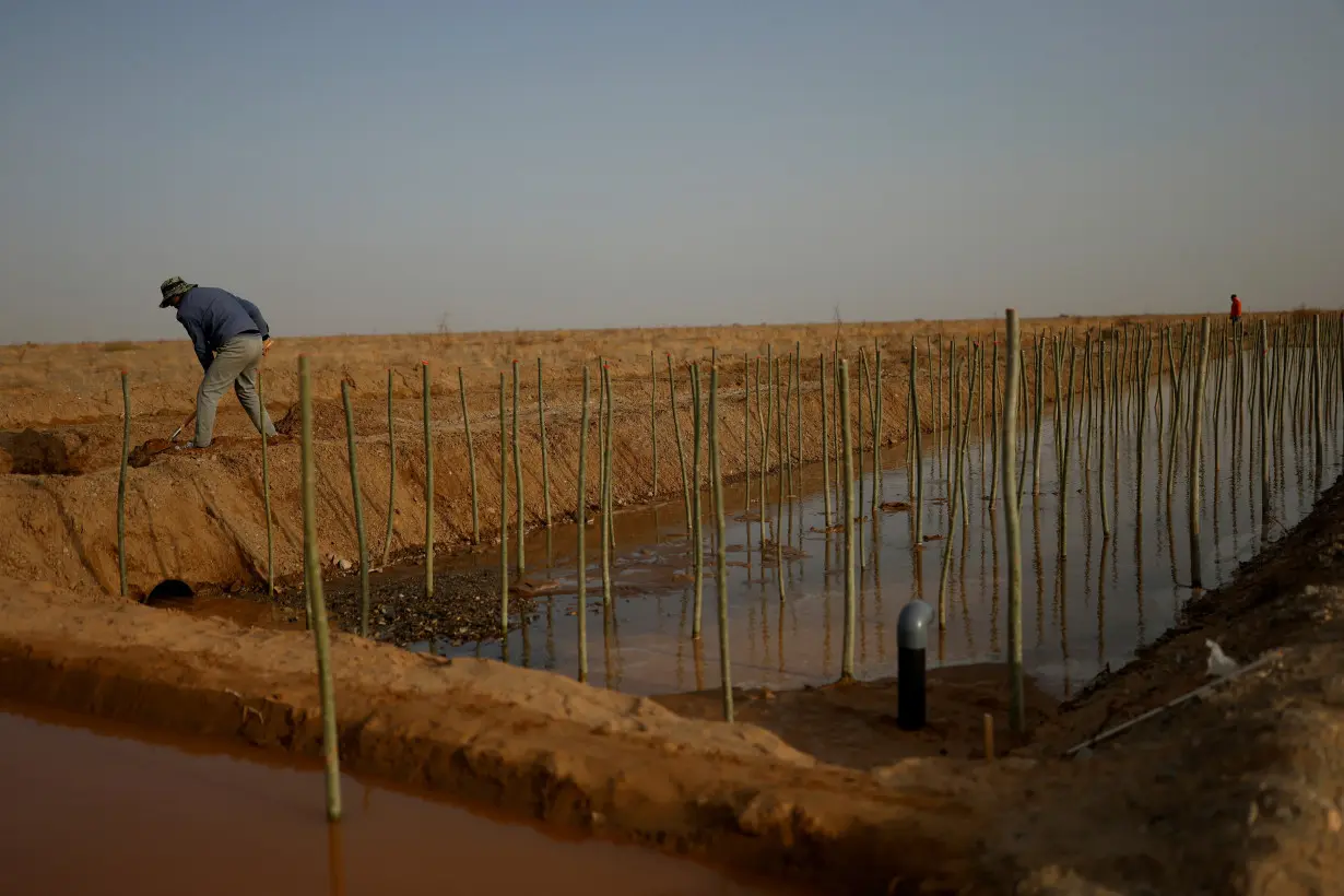FILE PHOTO: China's food security dream faces land, soil and water woes