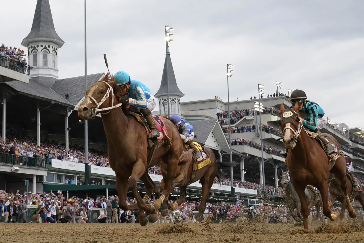 Breeders Cup Pre Entries Horse Racing