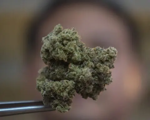Thailand's prime minister wants to outlaw cannabis, 2 years after it was decriminalized