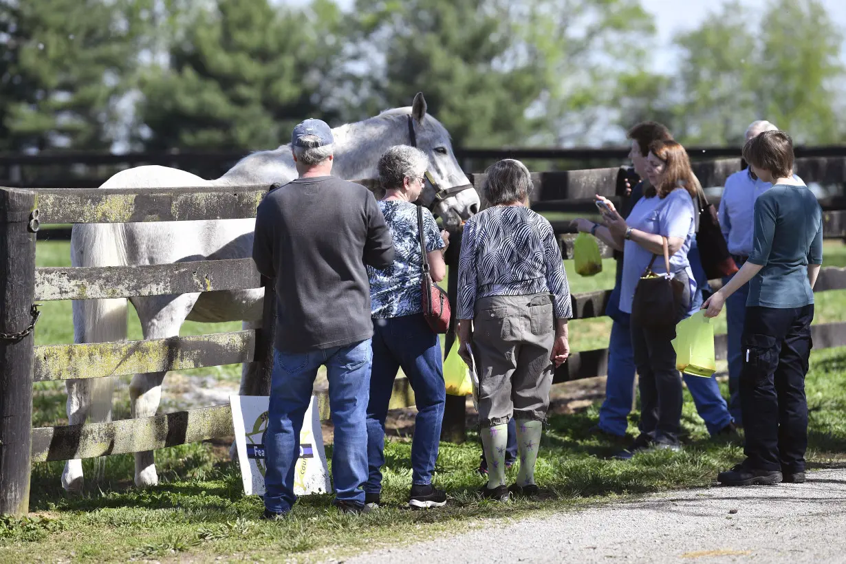 For ex-Derby winner Silver Charm, it's a life of leisure and Old Friends at Kentucky retirement farm