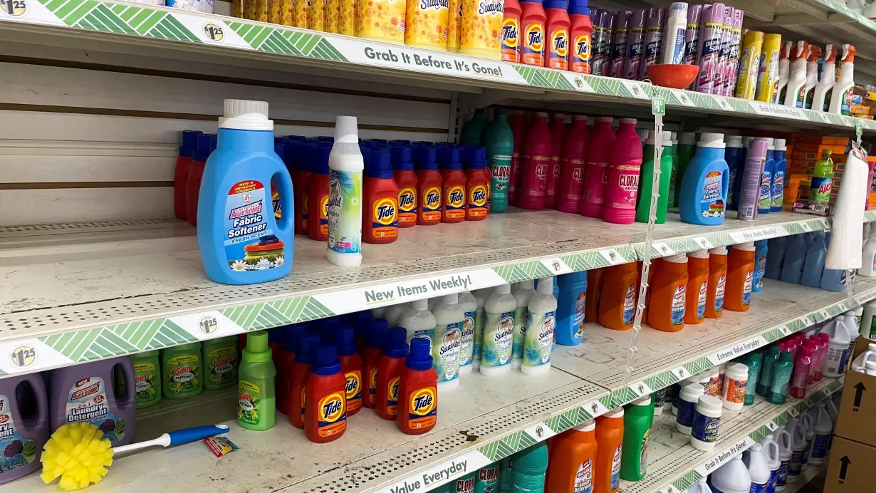 FILE PHOTO: Household products made by Procter & Gamble Co are seen on shelves at a Dollar Tree in Newburgh, New York