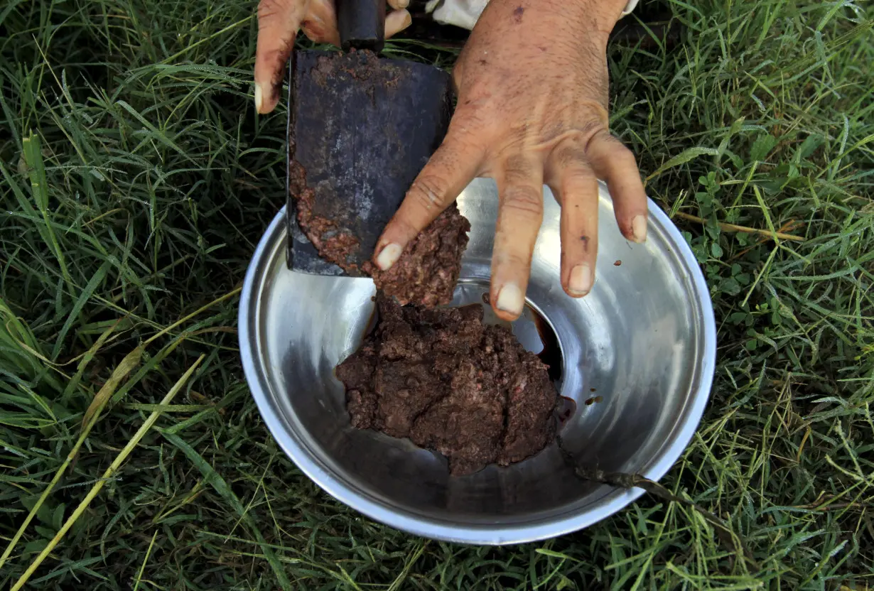 FILE PHOTO: Raw opium from a poppy head is seen at a poppy farmer's field on the outskirts of Jalalabad,