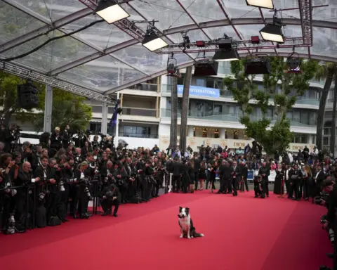 Messi the dog comes to Cannes for an encore