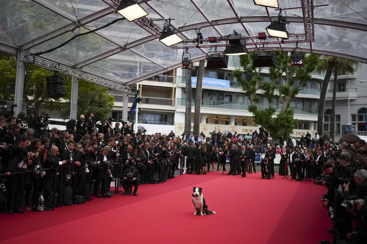 France Cannes 2024 Awards Ceremony Red Carpet