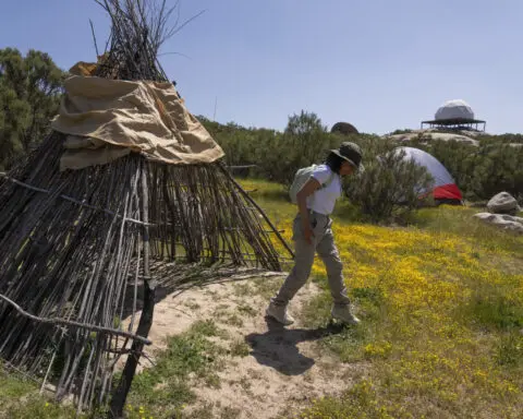 Botanists are scouring the US-Mexico border to document a forgotten ecosystem split by a giant wall