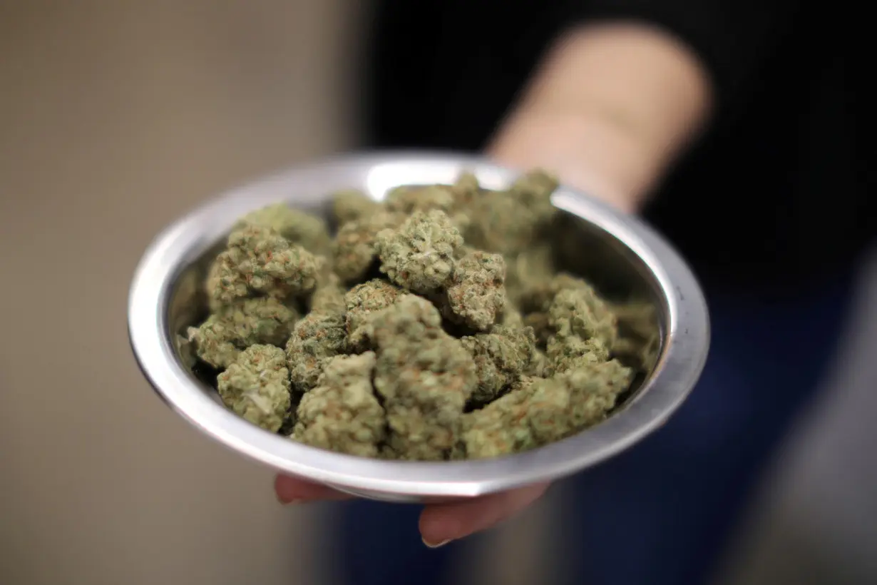 FILE PHOTO: A woman holds marijuana for sale at the MedMen store in West Hollywood