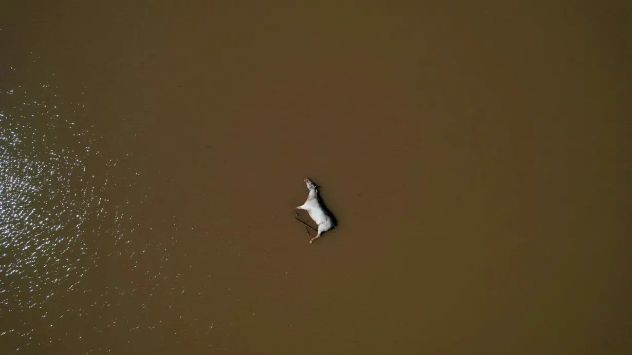 Flooding due to heavy rains in Rio Grande do Sul