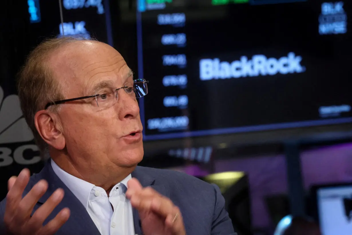 FILE PHOTO: Larry Fink, Chairman and CEO of BlackRock, at the NYSE in New York