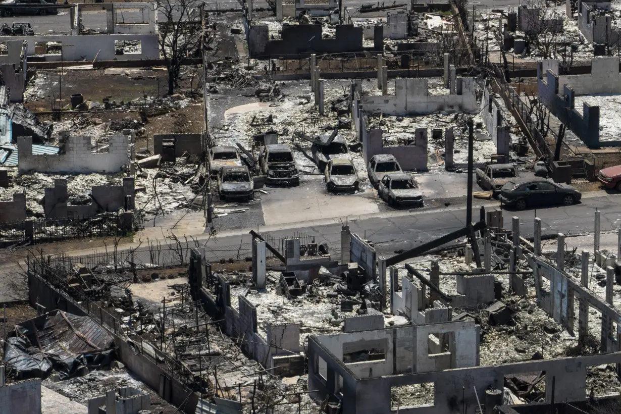 Hawaii Fires Waste