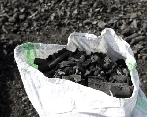 At international energy conference, delegates push to make clean cooking accessible to all