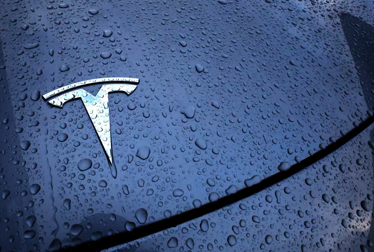 FILE PHOTO: The logo of a Tesla electric vehicle is placed on a car outside a dealership in Drogenbos