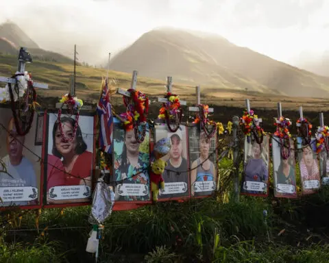 No sign of widespread lead exposure from Maui wildfires, Hawaii health officials say