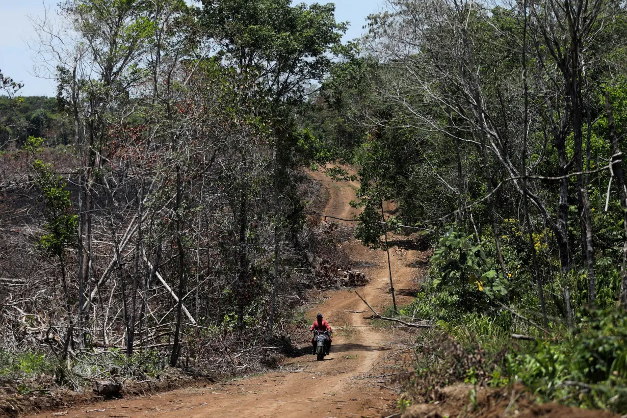 Operations to destroy illegal roads in Colombia's Amazon hit standstill, sources say