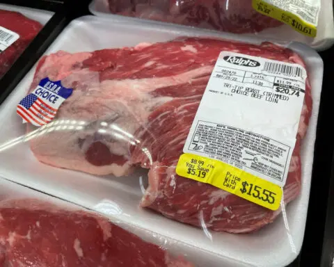 Bird flu detected in tissue samples of US dairy cow sent to slaughter, USDA says