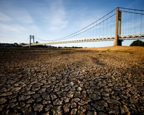 Health-harming heat stress rising in Europe, scientists say