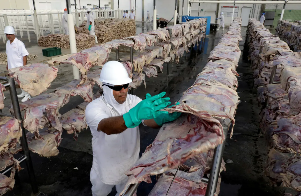 A worker spreads salted meat which will be dried and then packed at a plant of JBS S.A, the world's largest beef producer, in Santana de Parnaiba