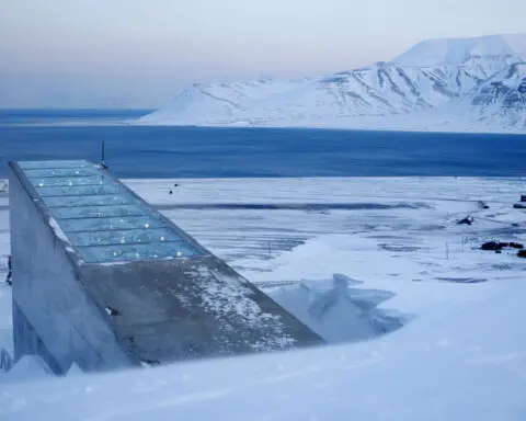Men behind the doomsday seed vault in the Arctic win World Food Prize