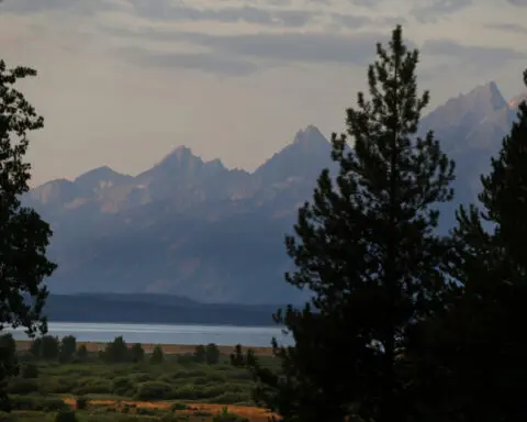 A self-inflicted hit of pepper spray drives off an attacking grizzly in Grand Teton National Park