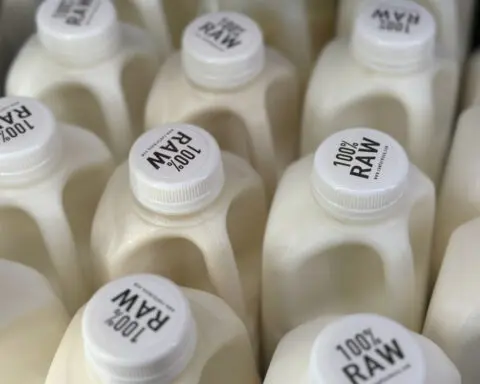 There's bird flu in US dairy cows. Raw milk drinkers aren't deterred