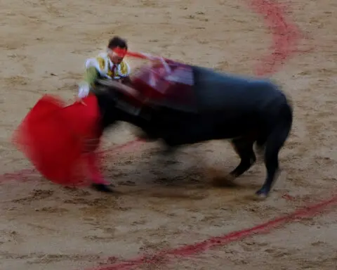 Spain abolishes national bullfighting award in cultural shift