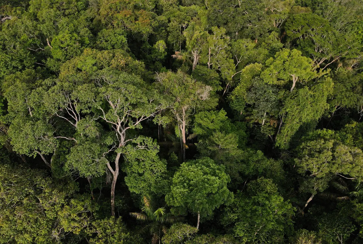 LA Post: 'Amazonia' bonds in 2024 seen a tough sell for some