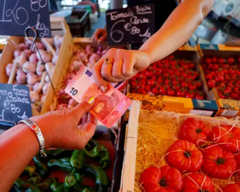 Recovering euro keeps dollar 'gorilla' from scuppering ECB rate outlook