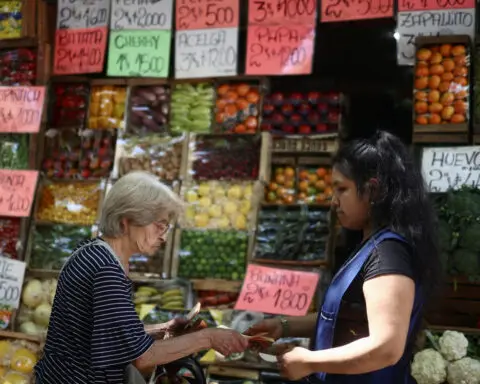 Latin America's seven largest economies to grow 1.4% this year, OECD forecasts