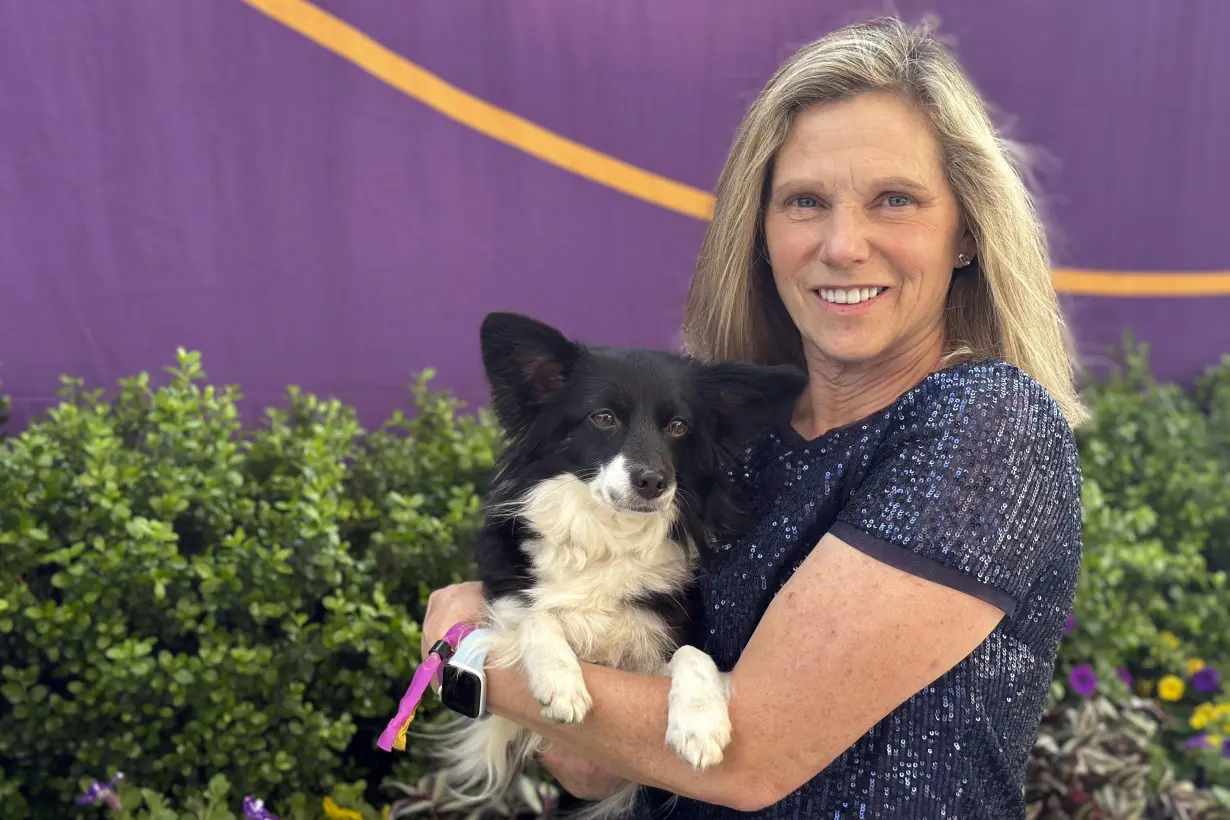 Westminster Dog Show-Mixed-Breed Prize