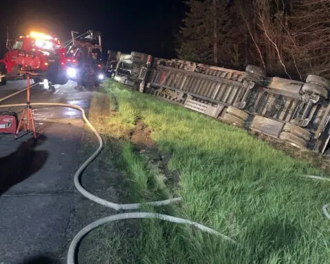 Most of 15 million bees contained after bee-laden truck crashes
