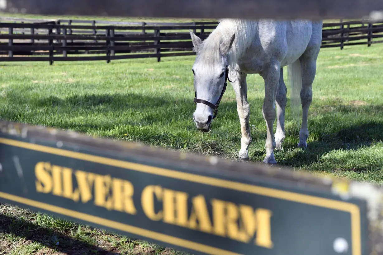 For ex-Derby winner Silver Charm, it's a life of leisure and Old Friends at Kentucky retirement farm