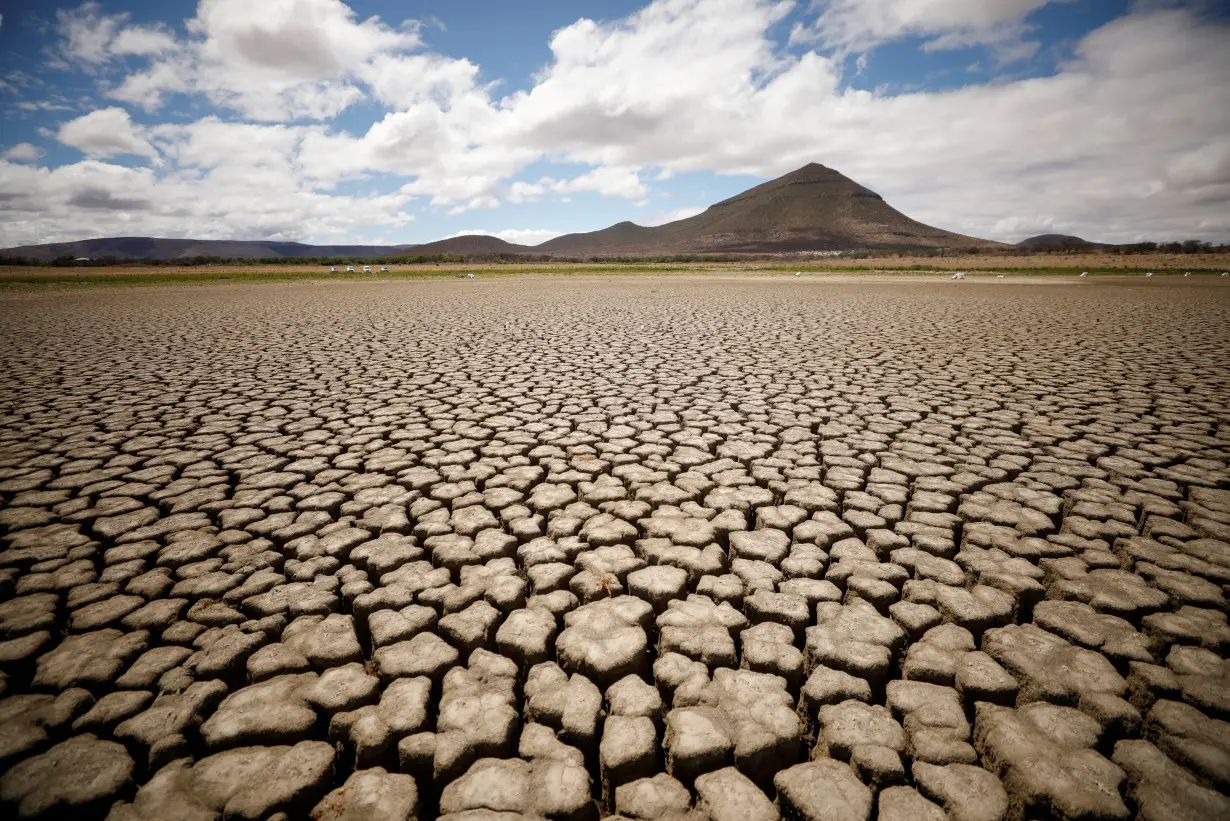 FILE PHOTO: Cracks are seen in the dried up municipal dam in drought-stricken Graaff-Reinet,