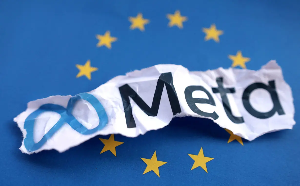 FILE PHOTO: Illustration shows EU flag and Meta logo