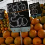 Brazil's orange output to hit over 30-year low on disease, weather